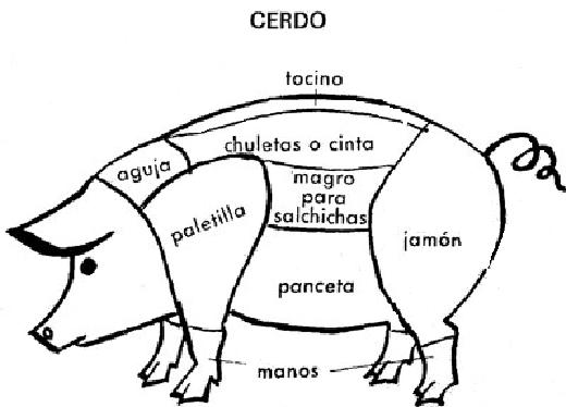 cerdo despiece