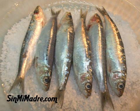 sardinas en cama de sal