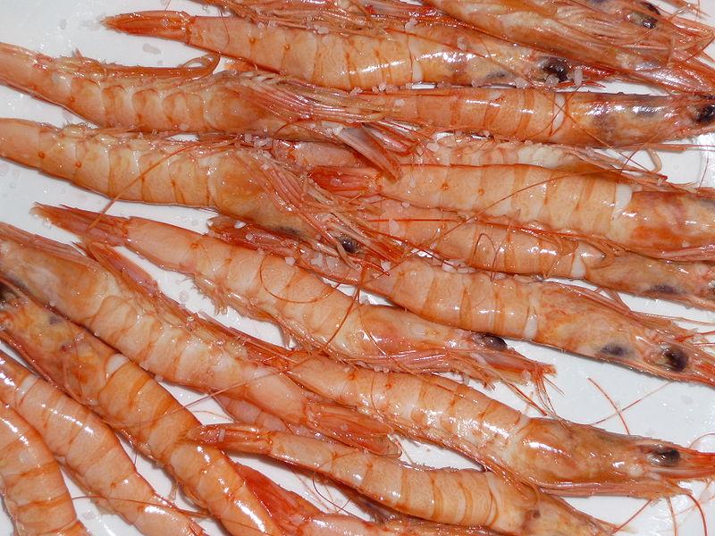 gamba