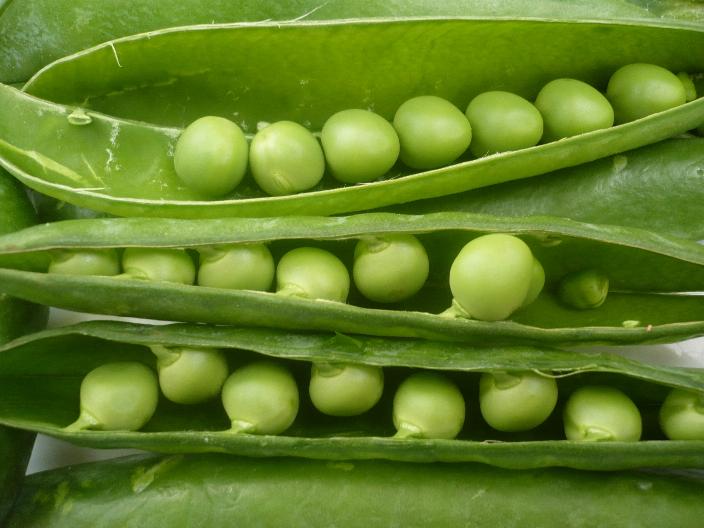 guisantes frescos guisantes frescos