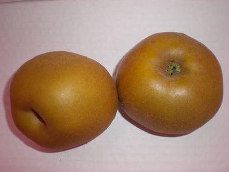 manzana reineta