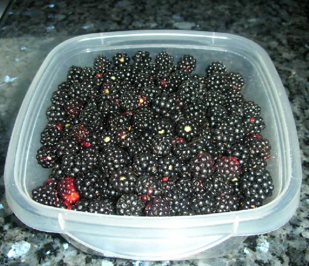 moras