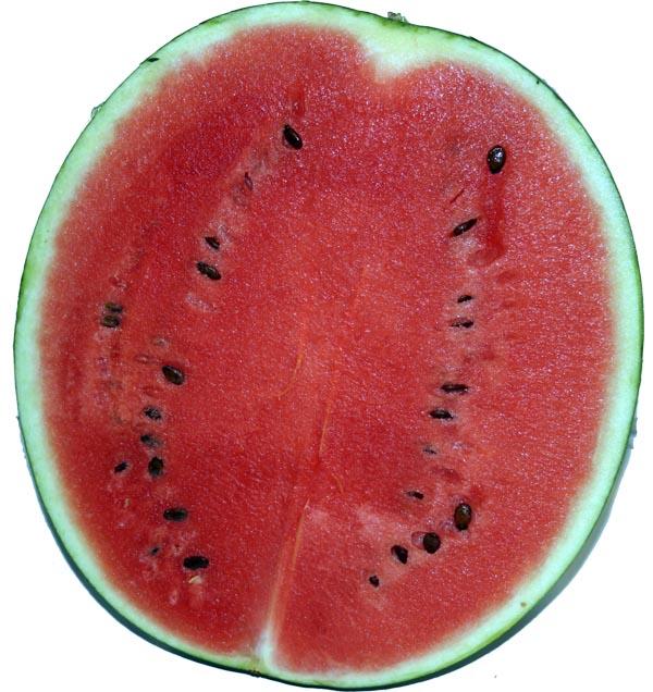 sandia