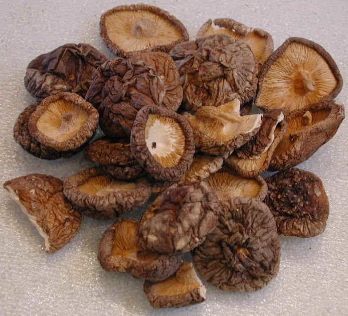 seta shiitake deshidratada